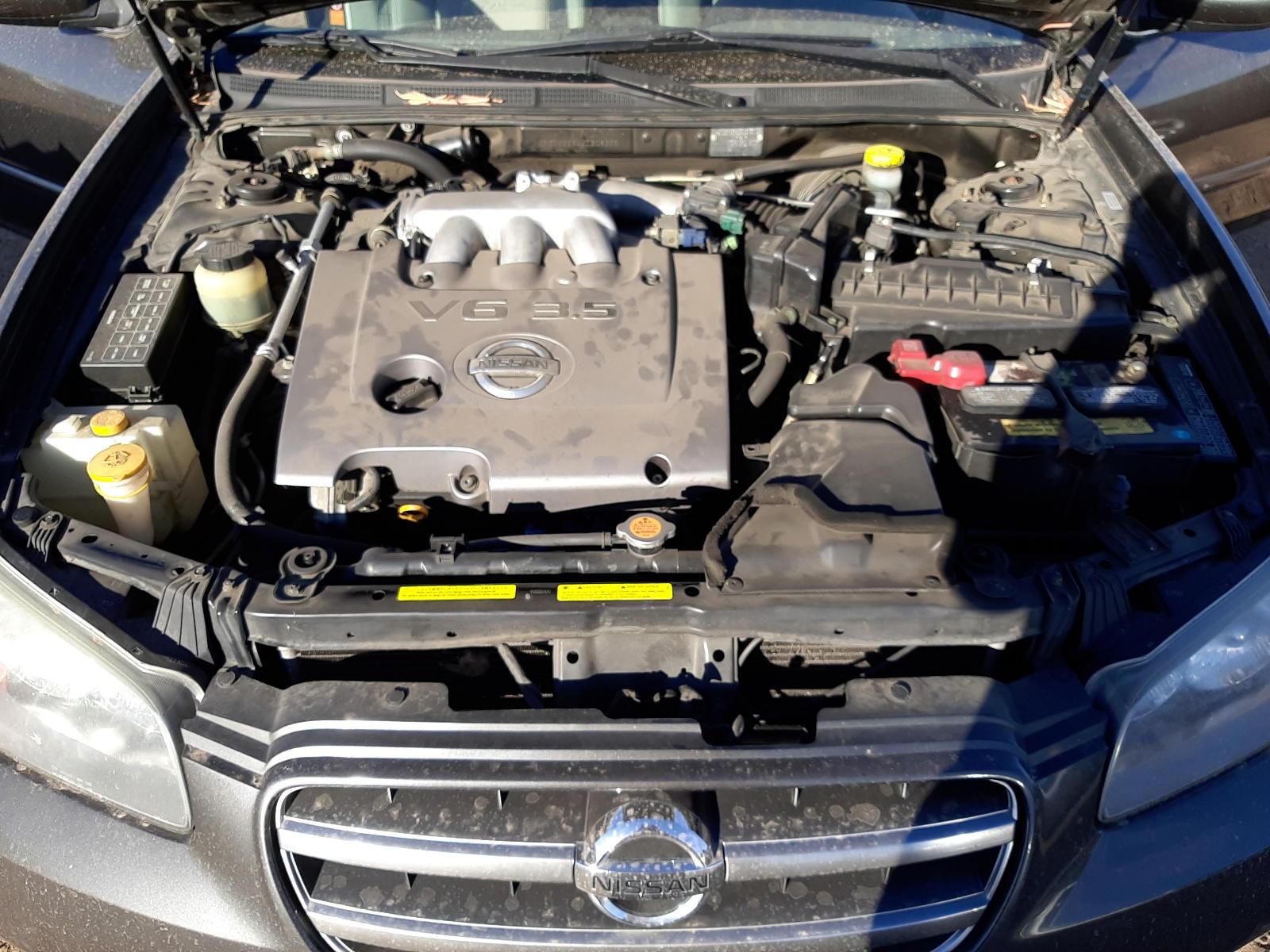 Photo 7 from auction – 2002 NISSAN MAXIMA with VIN JN1DA31AX2T308370