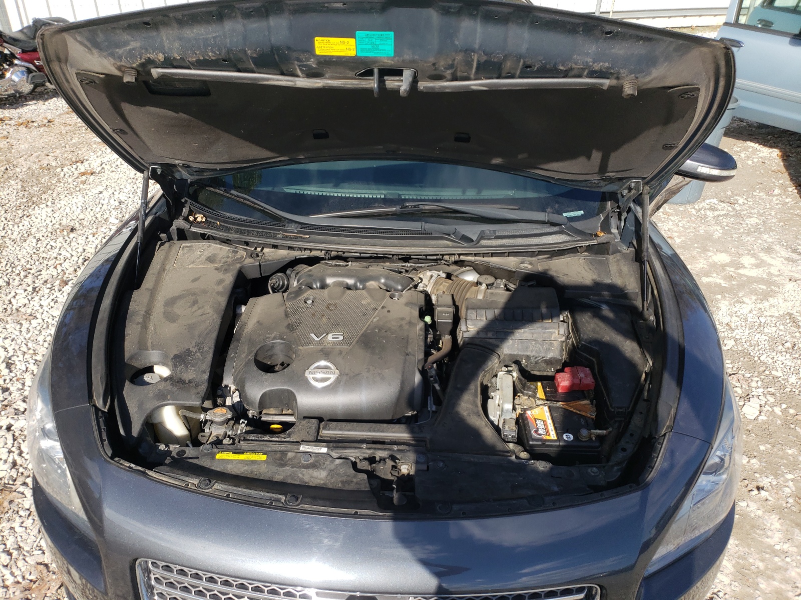 Photo 7 from auction – 2010 NISSAN MAXIMA S with VIN 1N4AA5AP5AC808859