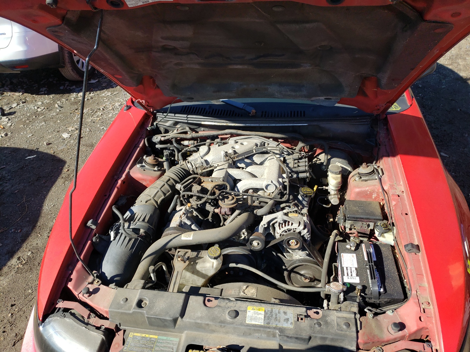 Photo 7 from auction – 2004 FORD MUSTANG with VIN 1FAFP40694F145435