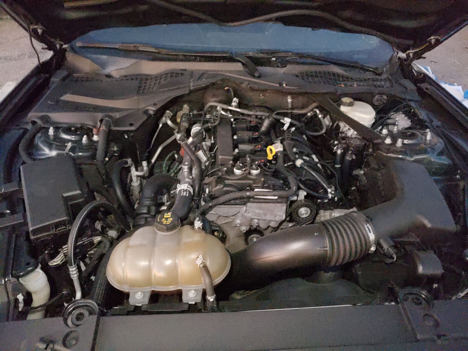 Photo 7 from auction – 2016 FORD MUSTANG with VIN 1FA6P8TH4G5305932