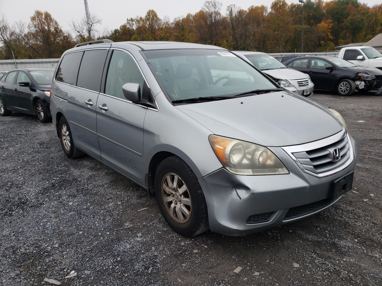 HONDA ODYSSEY EX 2008 with VIN 5FNRL38618B034776 - Photo from auction