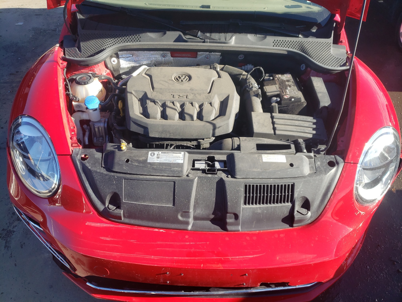 Photo 7 from auction – 2019 VOLKSWAGEN BEETLE S with VIN 3VW5DAAT3KM507996