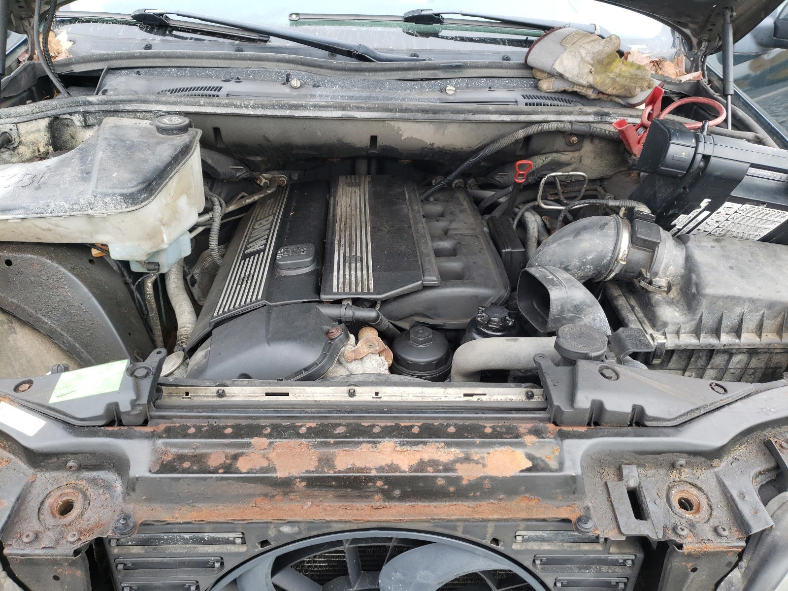 Photo 7 from auction – 2003 BMW X5 3.0I with VIN 5UXFA53563LV93845