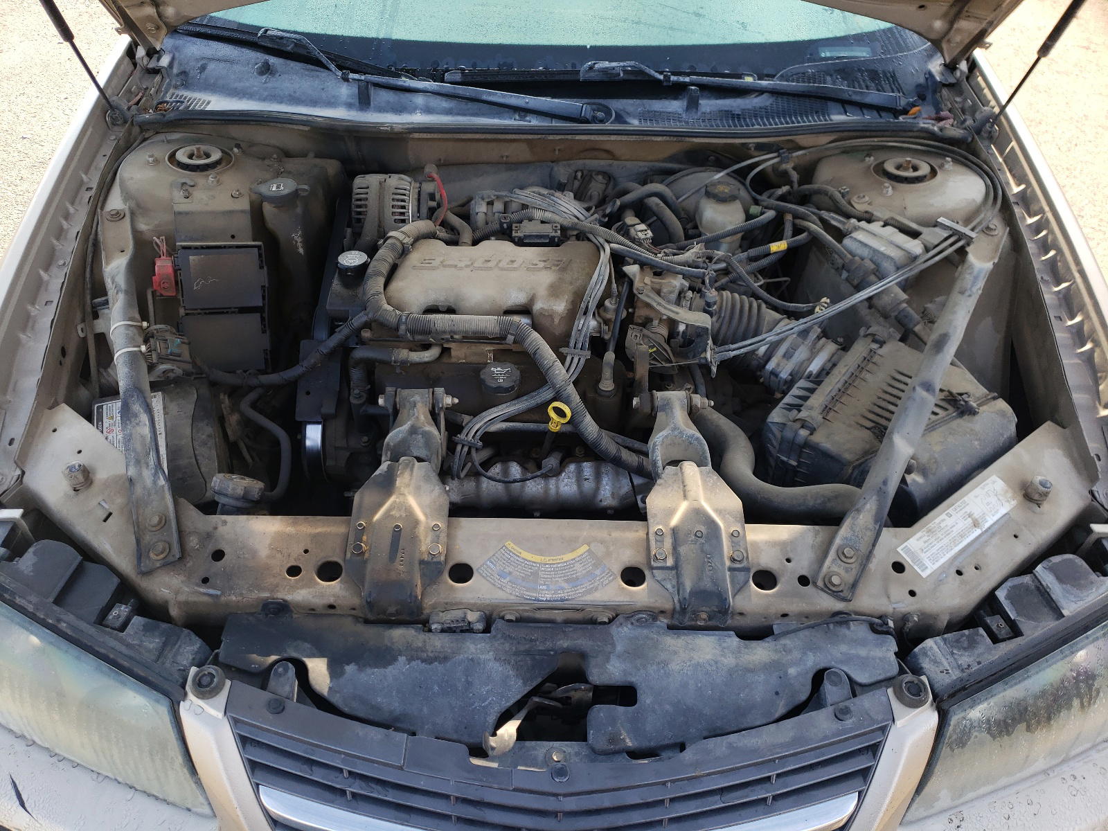 Photo 7 from auction – 2004 CHEVROLET IMPALA with VIN 2G1WF52EX49155626