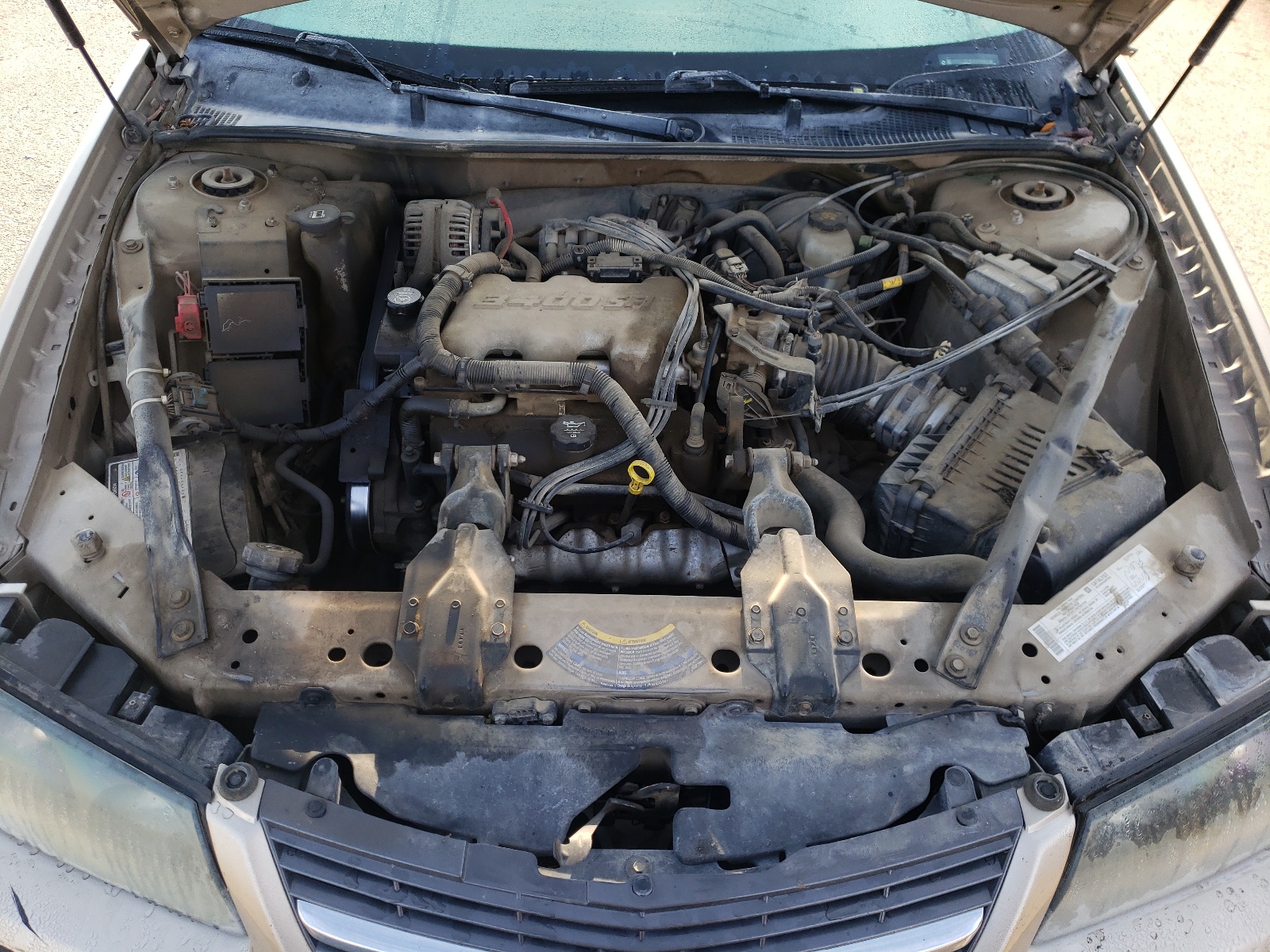 Фото 7 с аукциона – 2004 CHEVROLET IMPALA с VIN 2G1WF52EX49155626