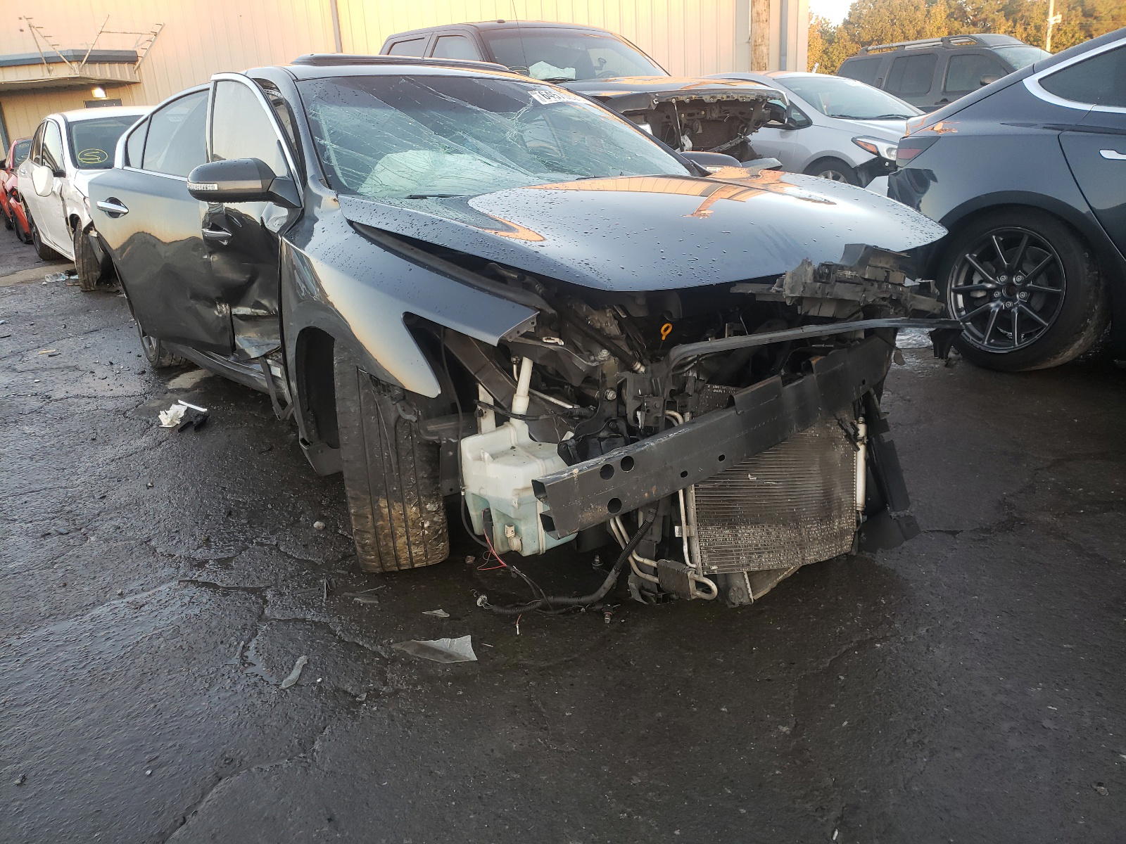 NISSAN MAXIMA S 2013 with VIN 1N4AA5AP8DC824199 - Photo from auction