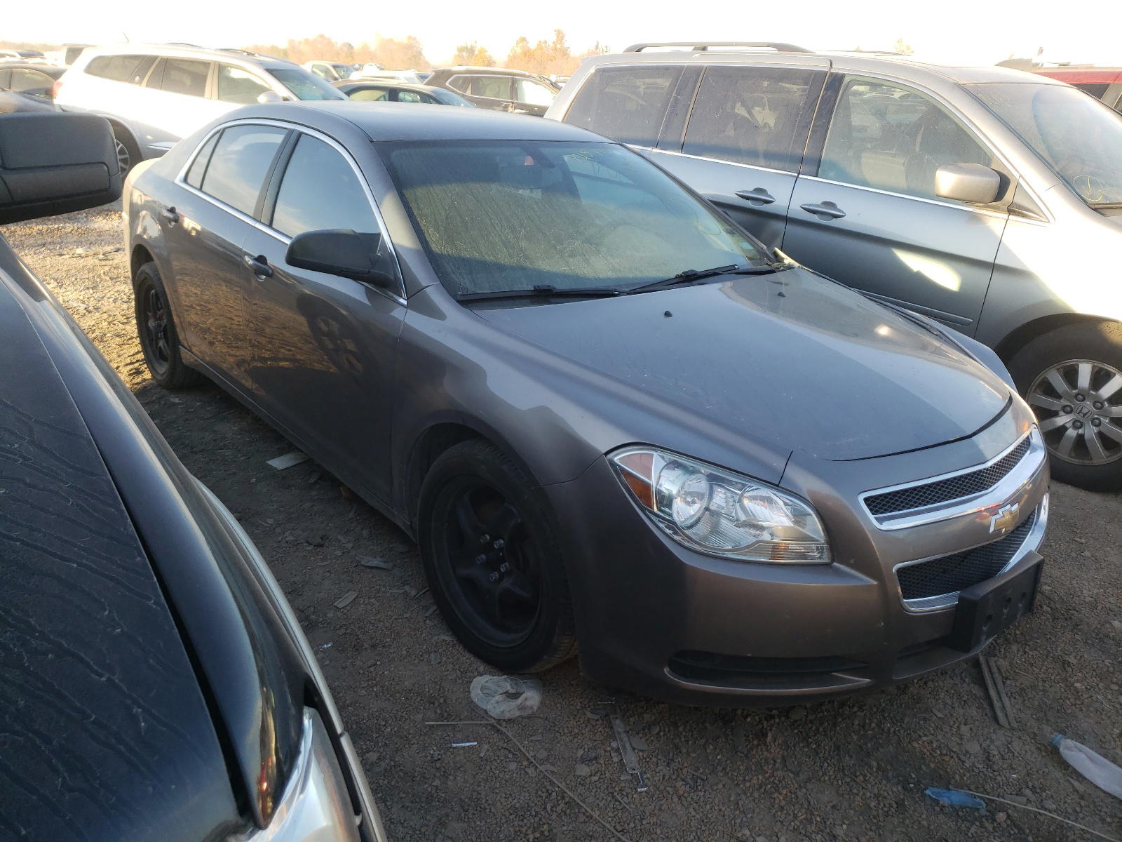 CHEVROLET MALIBU LS 2012 with VIN 1G1ZB5E02CF193673 - Photo from auction