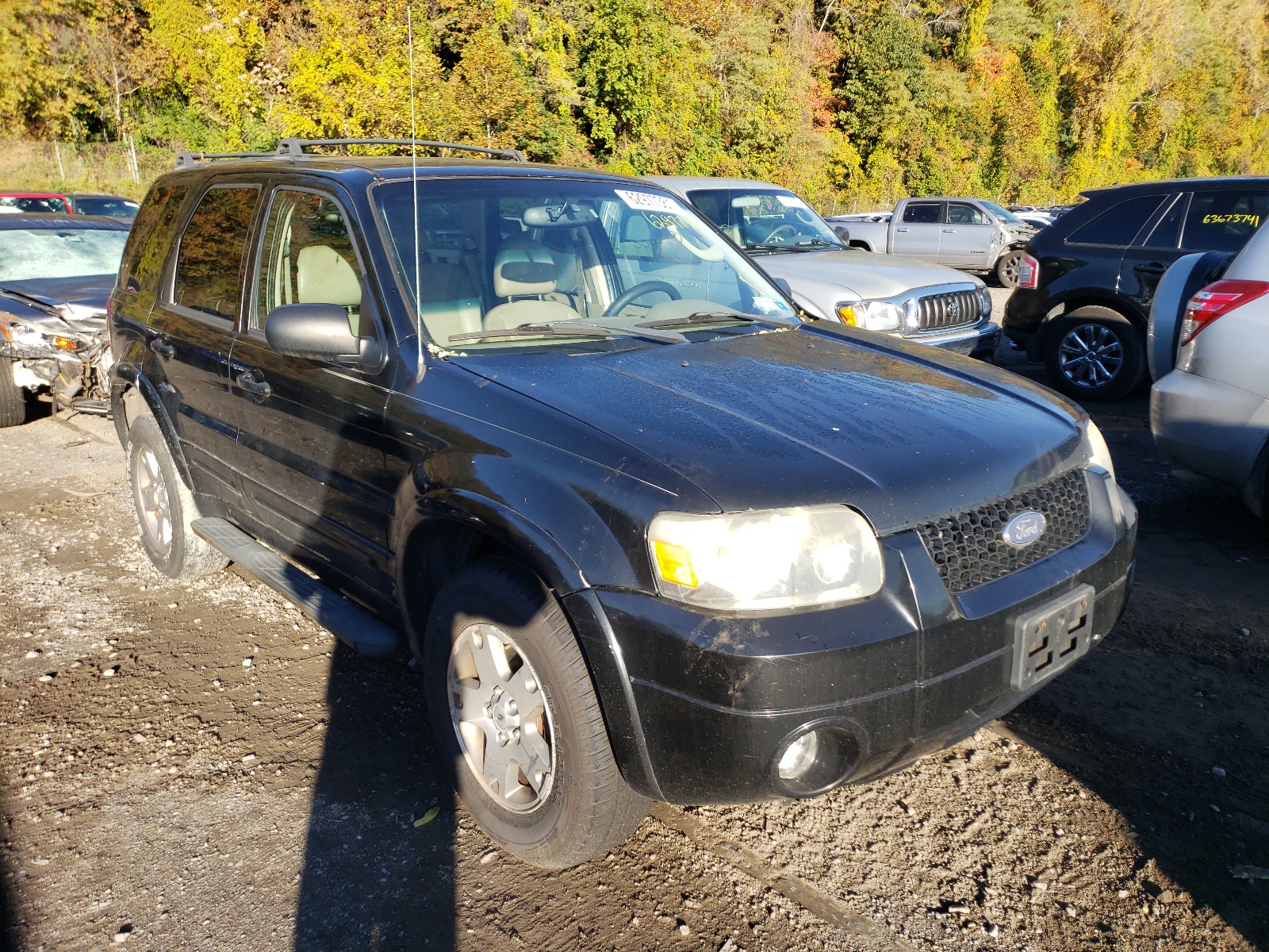 FORD ESCAPE LIM 2005 with VIN 1FMYU941X5KA54198 - Photo from auction