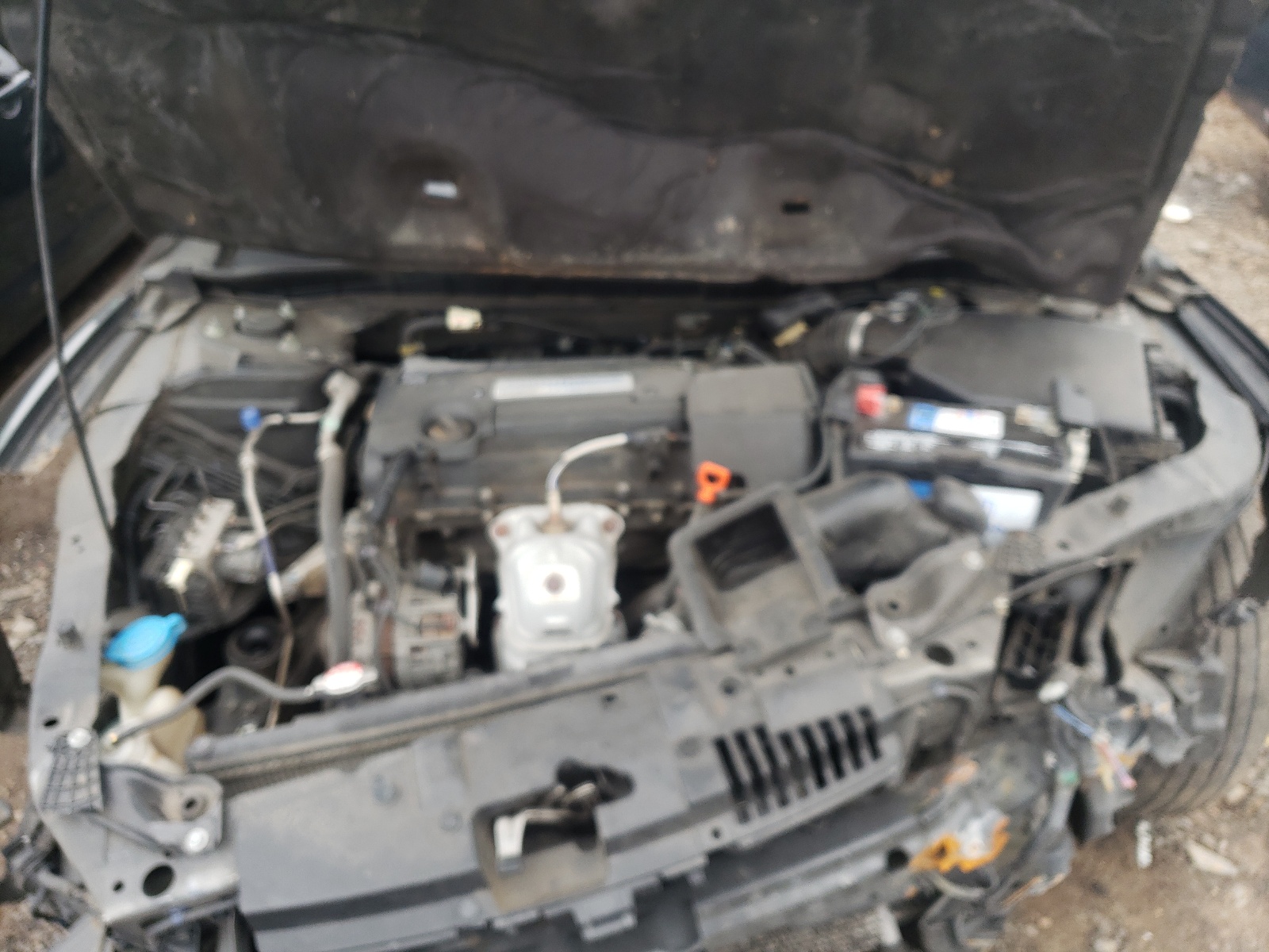 Photo 7 from auction – 2014 HONDA ACCORD LX with VIN 1HGCR2F30EA303217