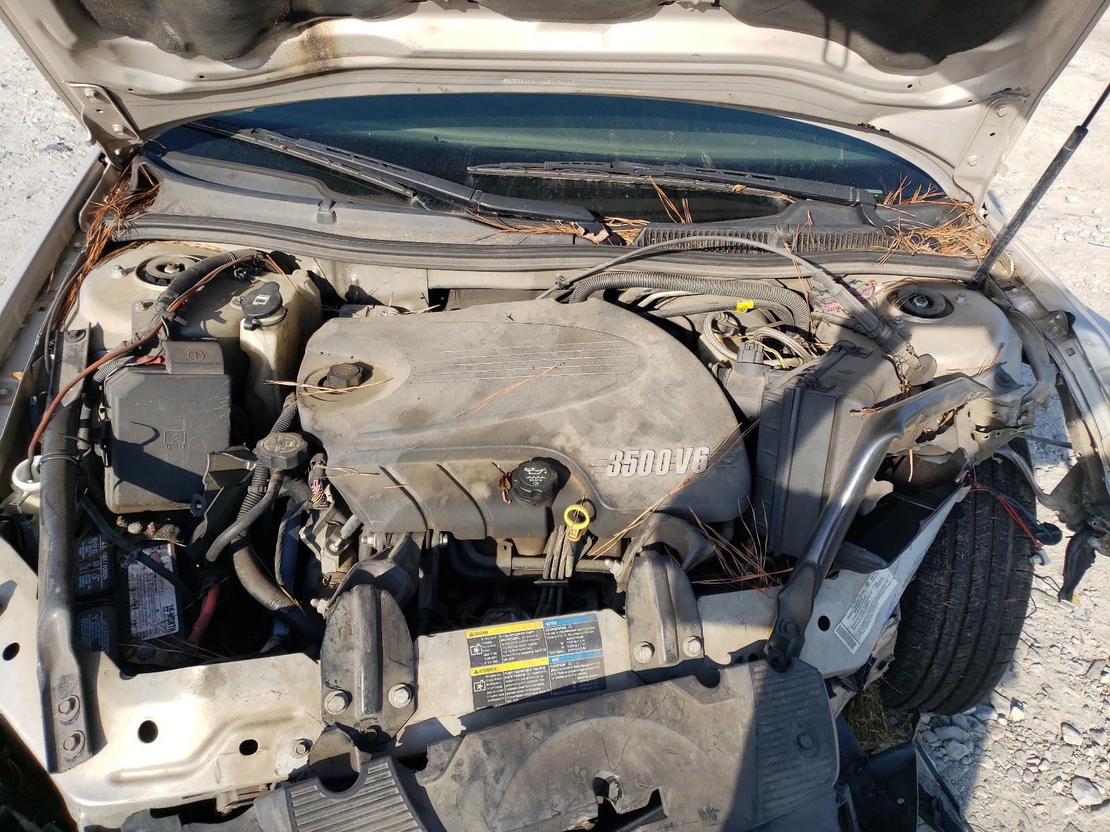 Photo 7 from auction – 2008 CHEVROLET IMPALA LT with VIN 2G1WT58K689150631