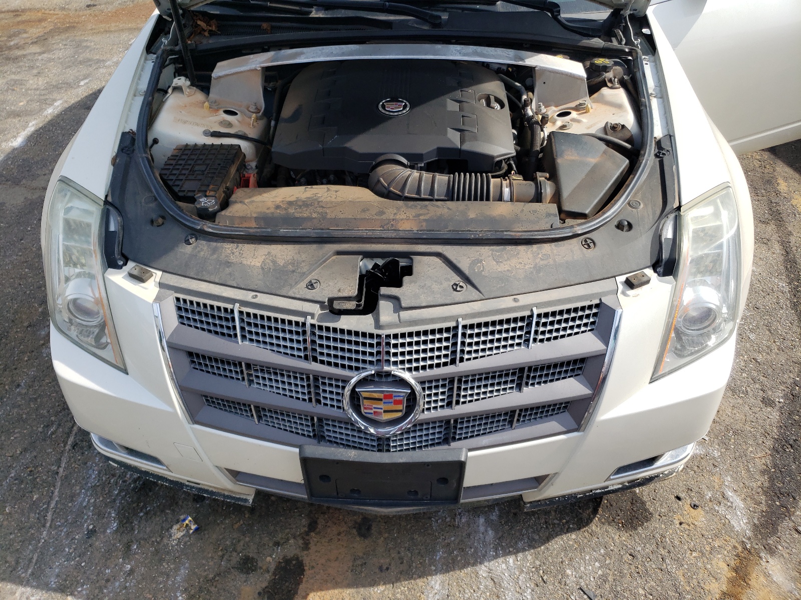 Photo 7 from auction – 2010 CADILLAC CTS PREMIU with VIN 1G6DS5EV3A0134163
