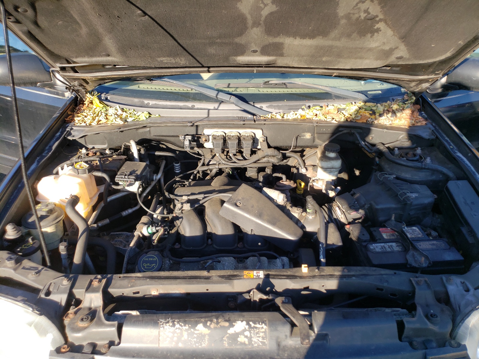 Photo 7 from auction – 2005 FORD ESCAPE LIM with VIN 1FMYU941X5KA54198