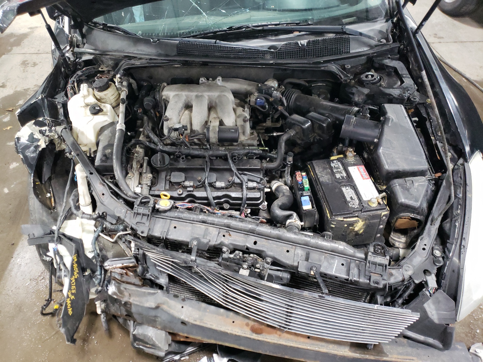 Photo 7 from auction – 2007 NISSAN MAXIMA SE with VIN 1N4BA41E17C801381