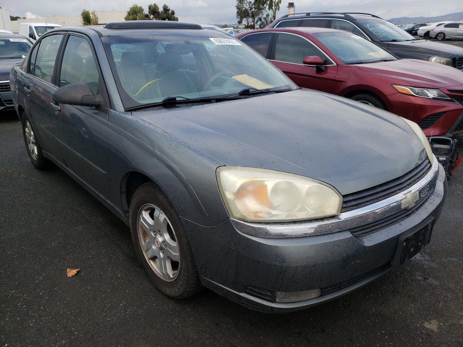 CHEVROLET MALIBU 2004 with VIN 1G1ZU54854F125032 - Photo from auction