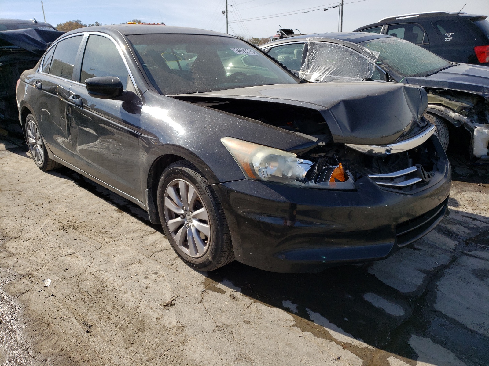 HONDA ACCORD EXL 2011 with VIN 1HGCP2F82BA085410 - Photo from auction