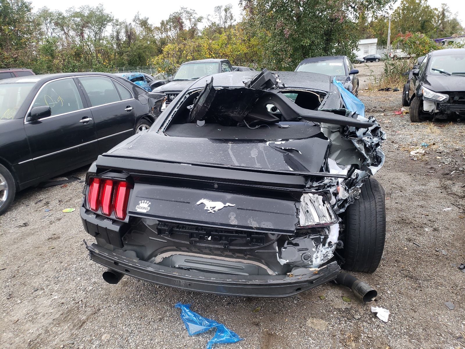 Photo 9 from auction – 2019 FORD MUSTANG with VIN 1FA6P8TH1K5133321