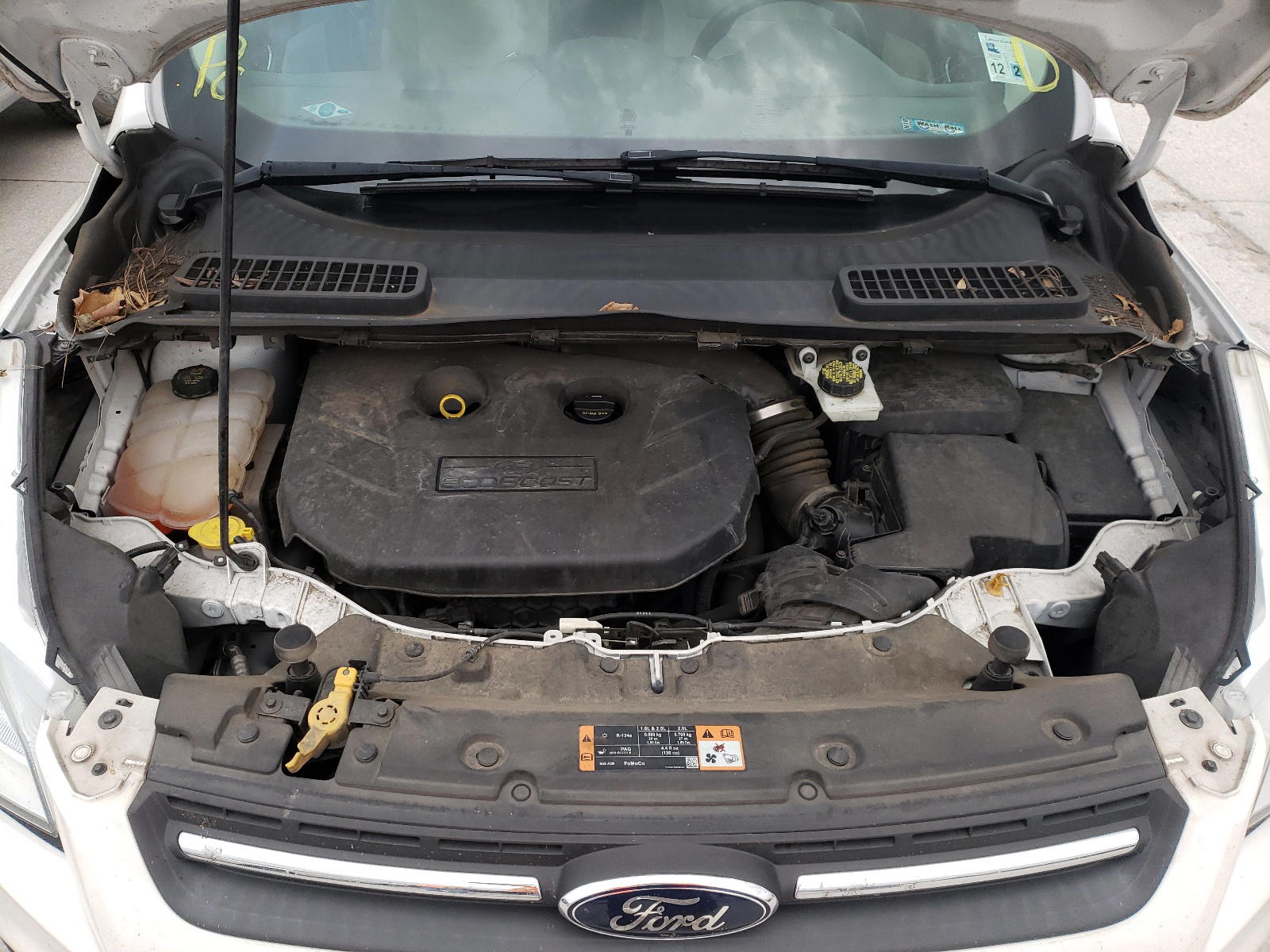 Photo 7 from auction – 2014 FORD ESCAPE SE with VIN 1FMCU0G9XEUC16262