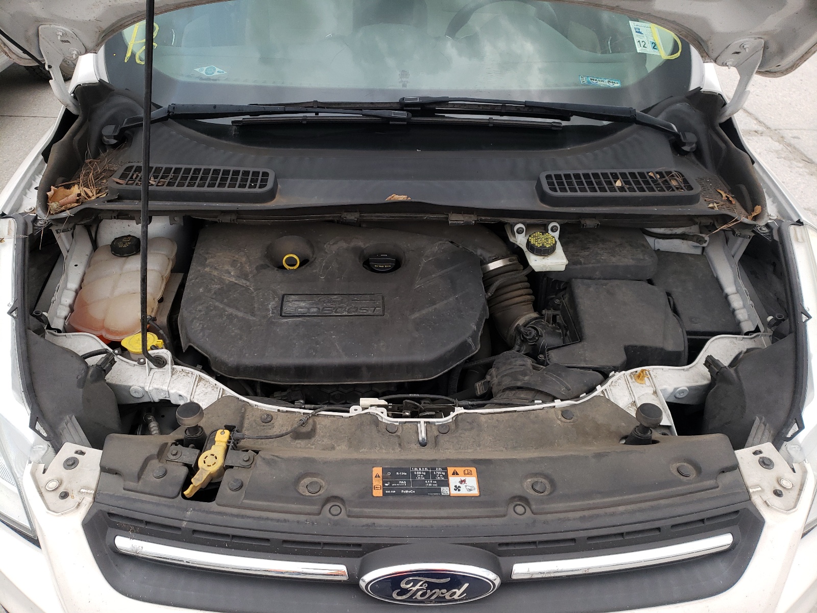 Zdjęcie 7 z aukcji – 2014 FORD ESCAPE SE z VIN 1FMCU0G9XEUC16262