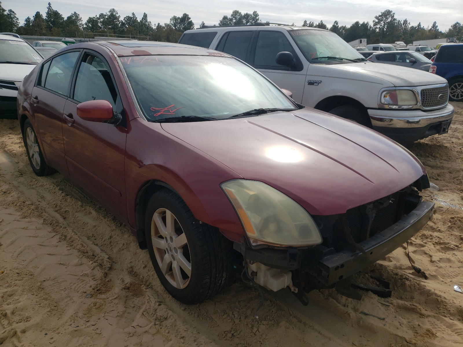 NISSAN MAXIMA SE 2004 with VIN 1N4BA41E04C853516 - Photo from auction