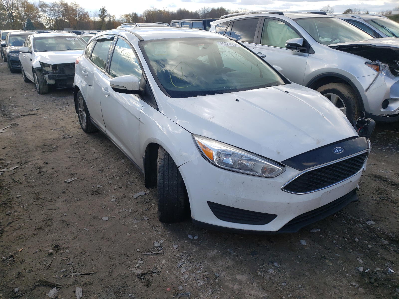 FORD FOCUS SE 2017 with VIN 1FADP3K20HL261206 - Photo from auction