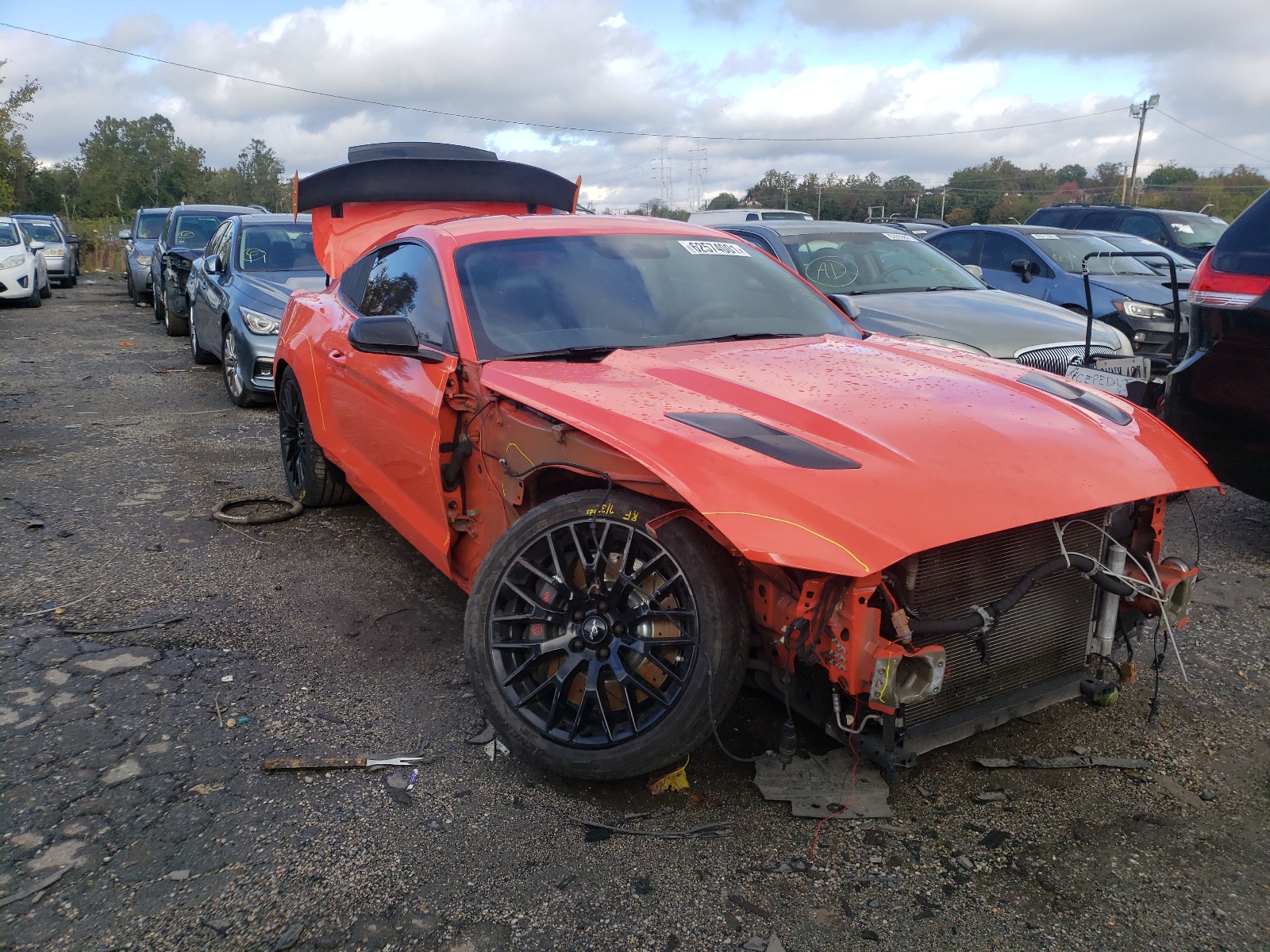FORD MUSTANG GT 2015 with VIN 1FA6P8CF7F5313505 - Photo from auction