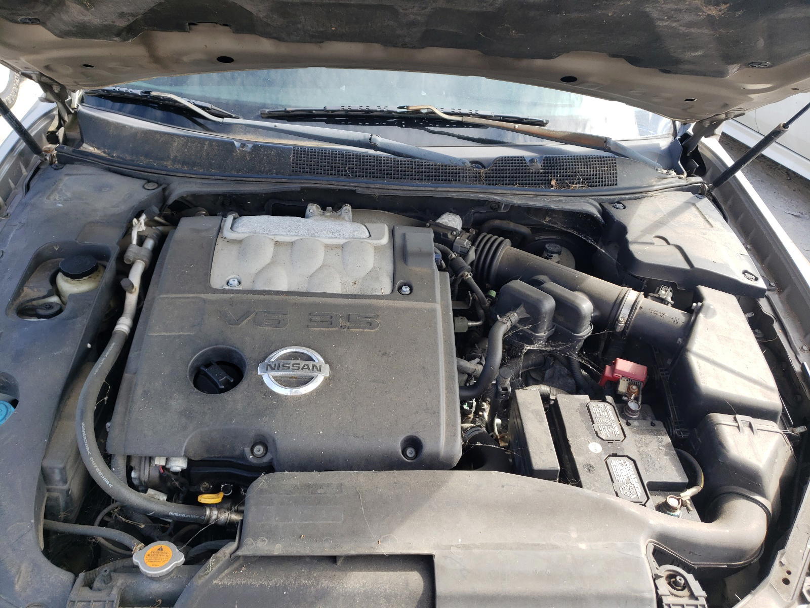 Photo 7 from auction – 2008 NISSAN MAXIMA SE with VIN 1N4BA41E78C800656
