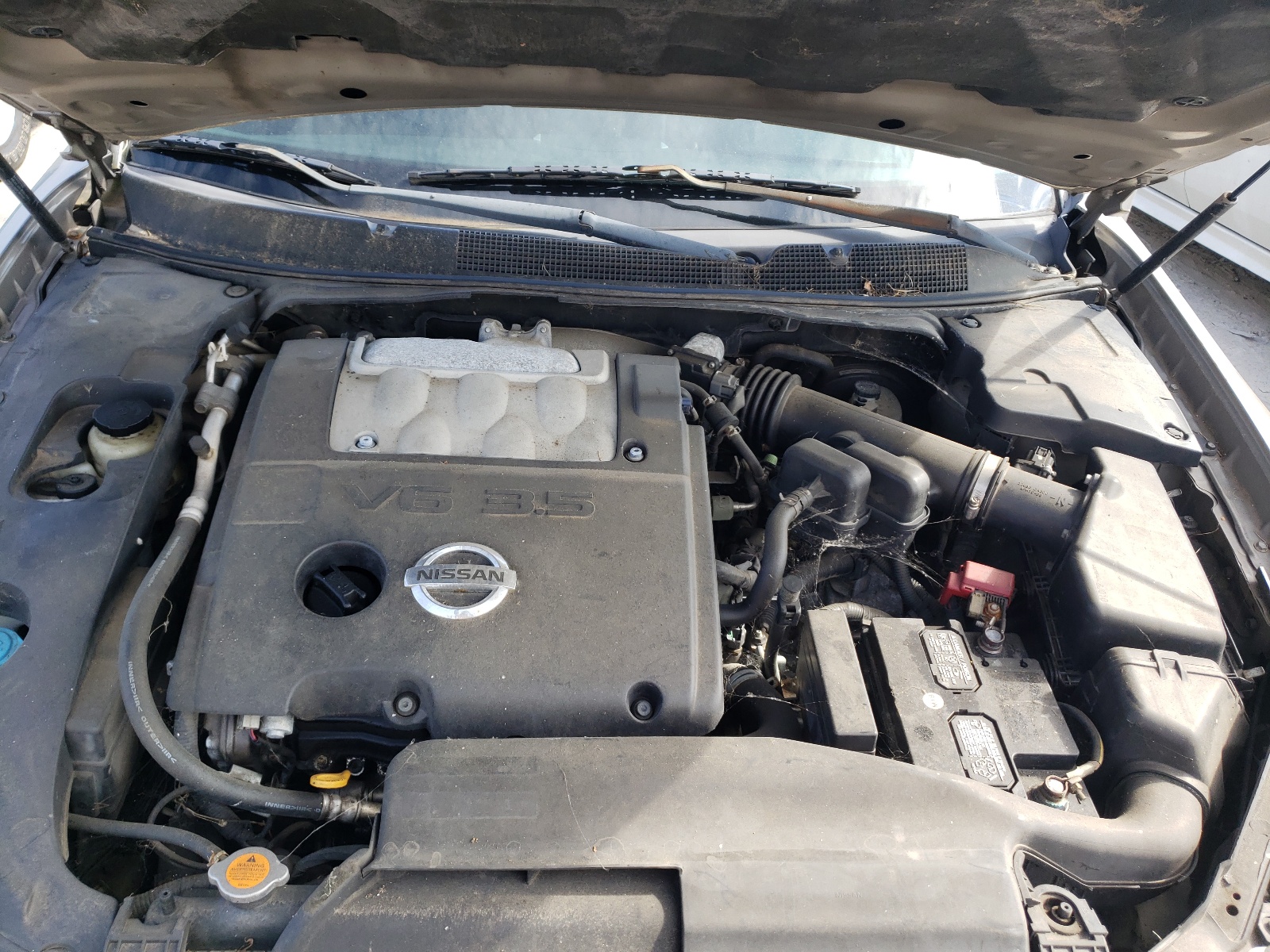 صورة رقم 7 من المزاد - 2008 NISSAN MAXIMA SE مع VIN 1N4BA41E78C800656
