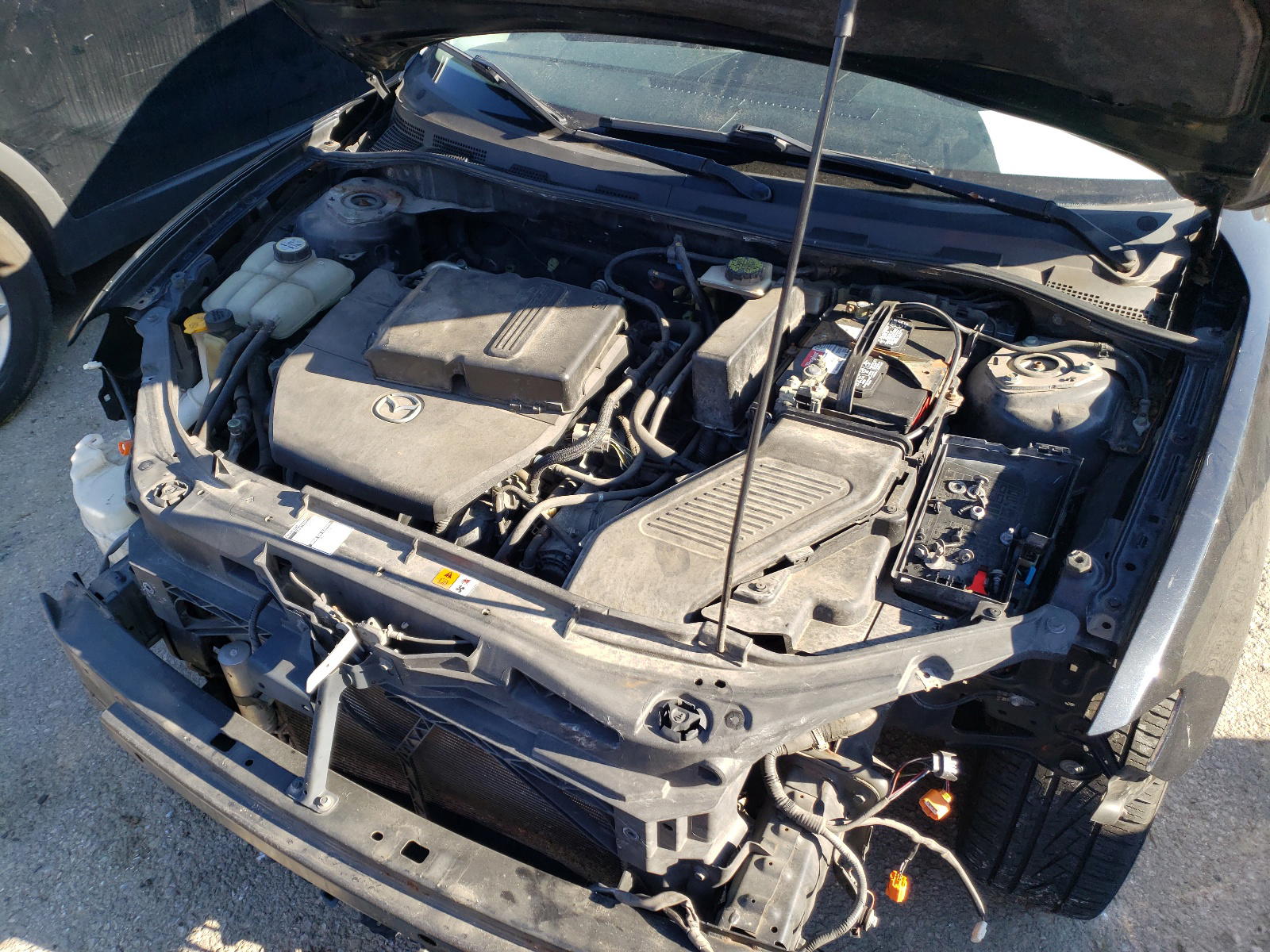 Photo 7 from auction – 2009 MAZDA 3 S with VIN JM1BK323691203364