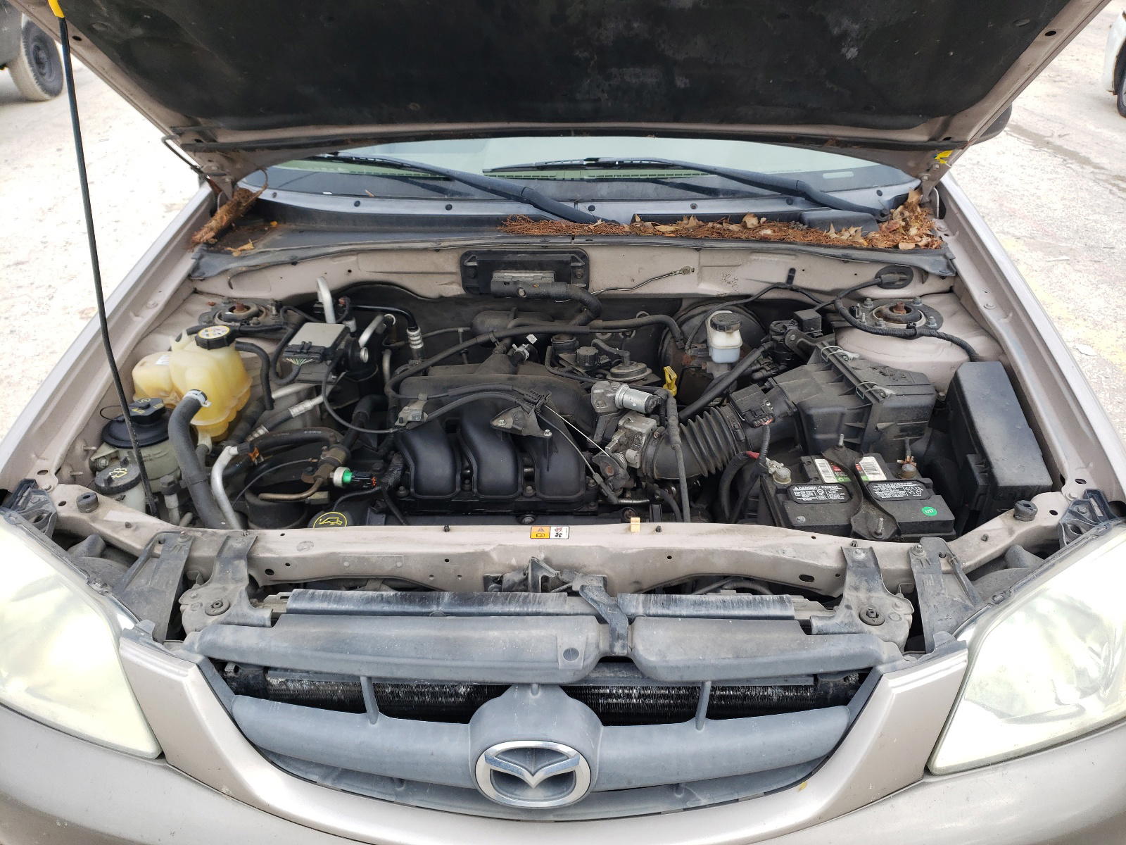 Photo 7 from auction – 2002 MAZDA TRIBUTE LX with VIN 4F2YU09132KM11628