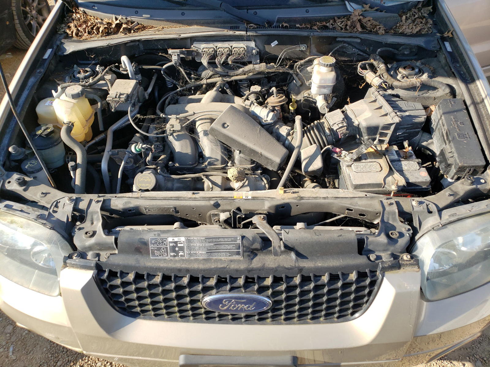 Photo 7 from auction – 2007 FORD ESCAPE with VIN 1FMCU93107KB68242