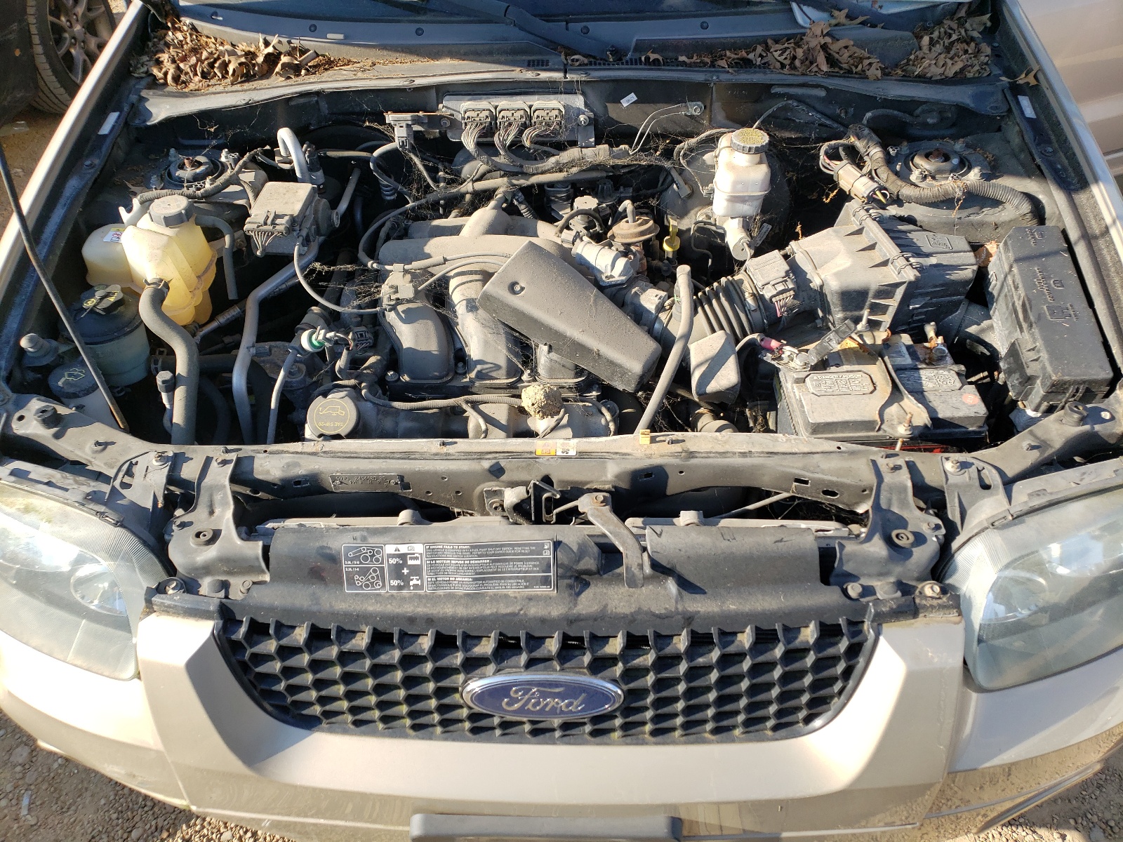 صورة رقم 7 من المزاد - 2007 FORD ESCAPE مع VIN 1FMCU93107KB68242