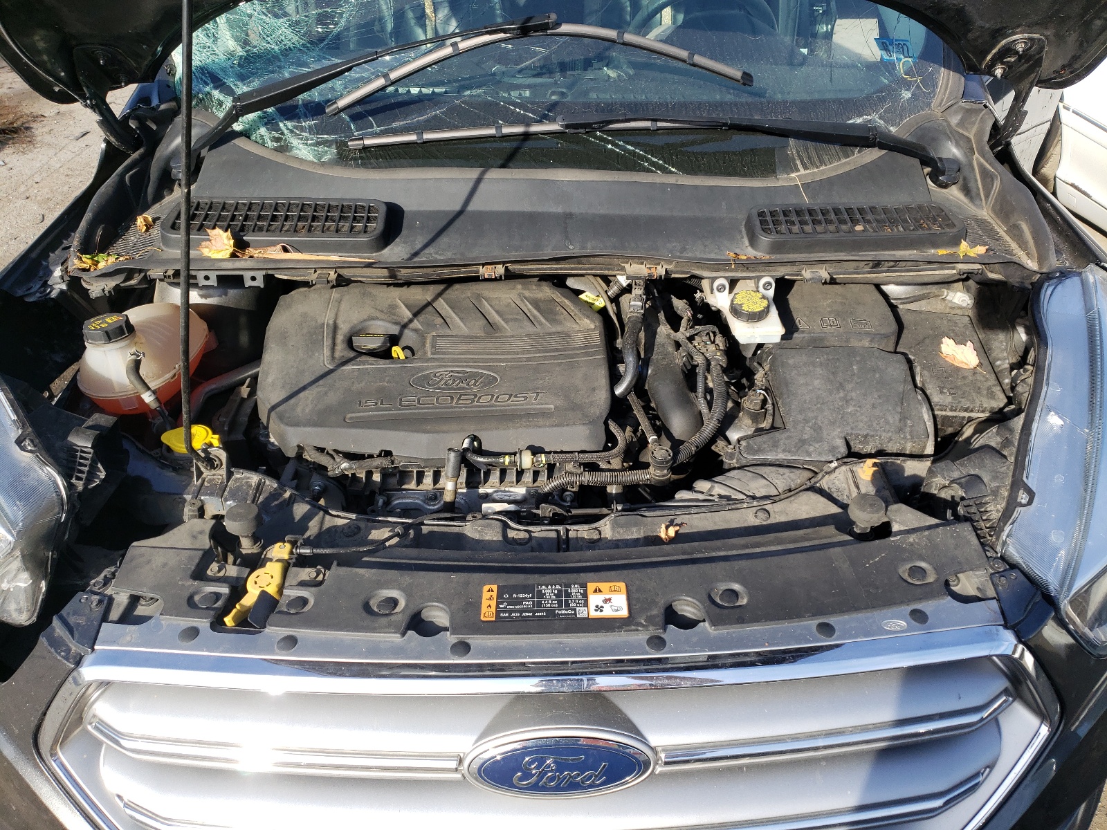 Photo 7 from auction – 2017 FORD ESCAPE SE with VIN 1FMCU0GD9HUF08865