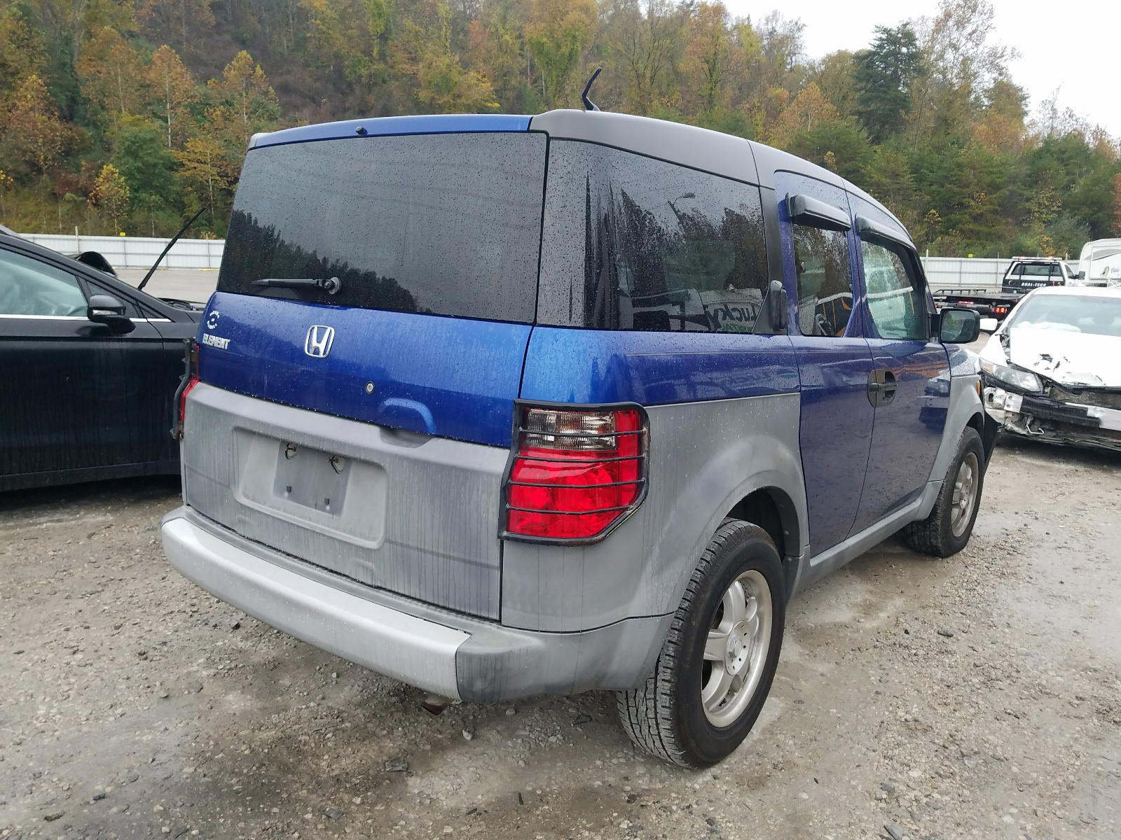 Photo 4 from auction – 2004 HONDA ELEMENT LX with VIN 5J6YH18324L009359