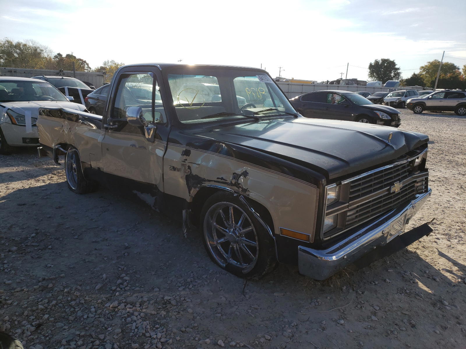 CHEVROLET C10 1981 with VIN 1GCDC14H7BB135692 - Photo from auction