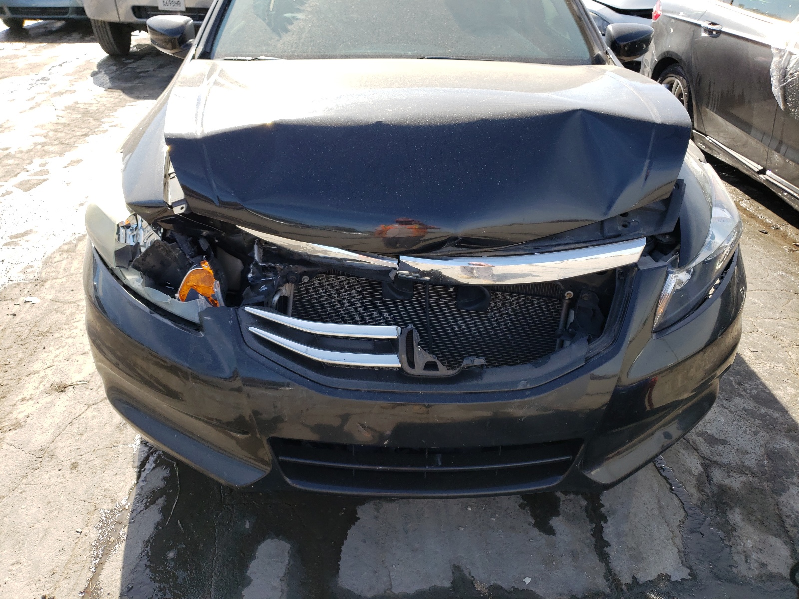 Photo 7 from auction – 2011 HONDA ACCORD EXL with VIN 1HGCP2F82BA085410