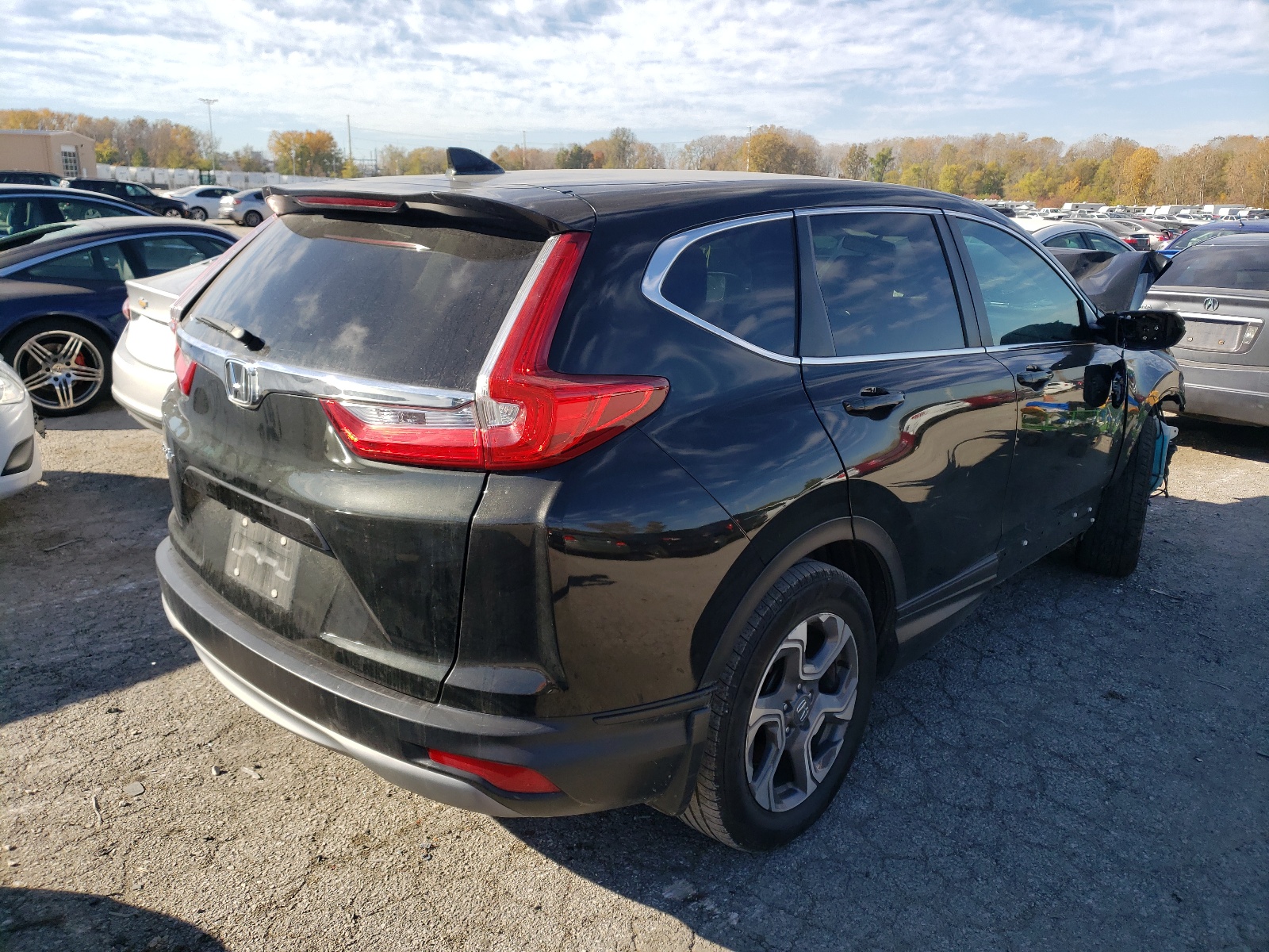 Photo 4 from auction – 2019 HONDA CR-V EX with VIN 7FARW1H54KE014388