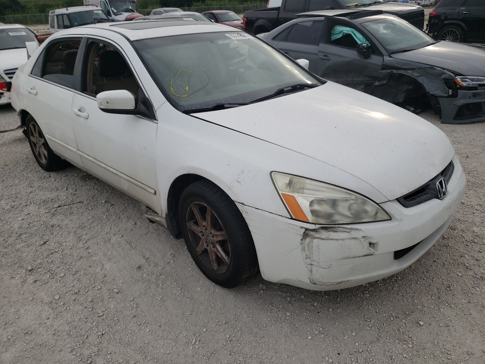 HONDA ACCORD EX 2003 with VIN 1HGCM66513A004842 - Photo from auction