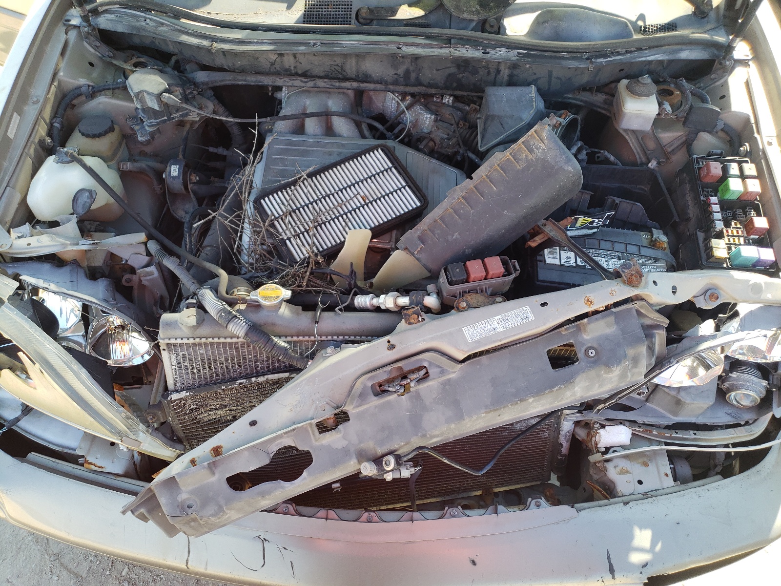 Photo 7 from auction – 1999 LEXUS RX 300 with VIN JT6GF10U4X0011445
