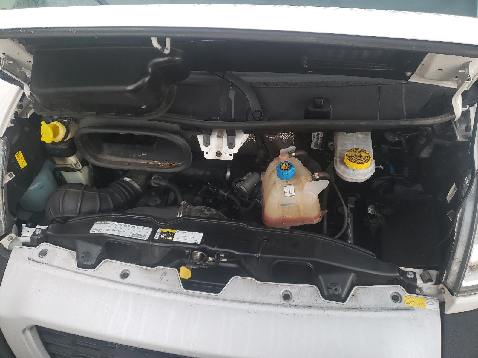 Photo 7 from auction – 2019 RAM PROMASTER with VIN 3C6TRVBG2KE547704