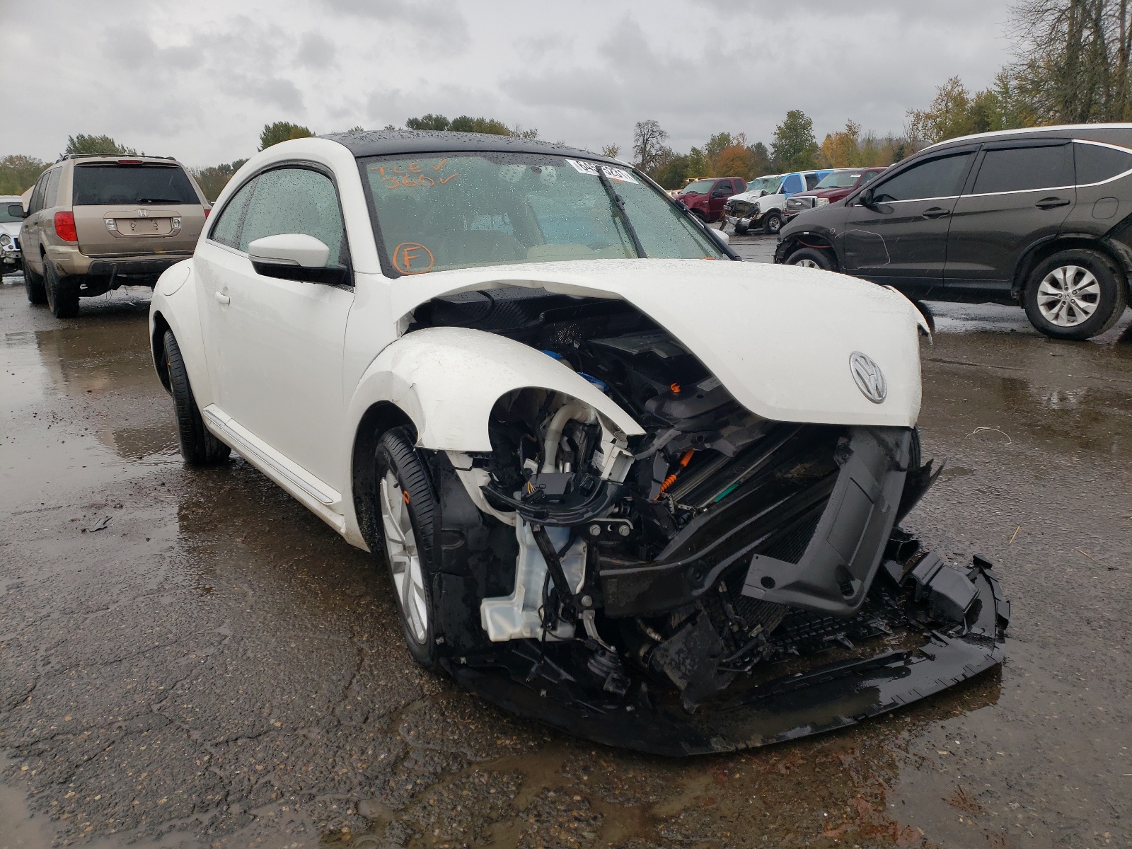 VOLKSWAGEN BEETLE 2013 with VIN 3VWJL7AT4DM632366 - Photo from auction
