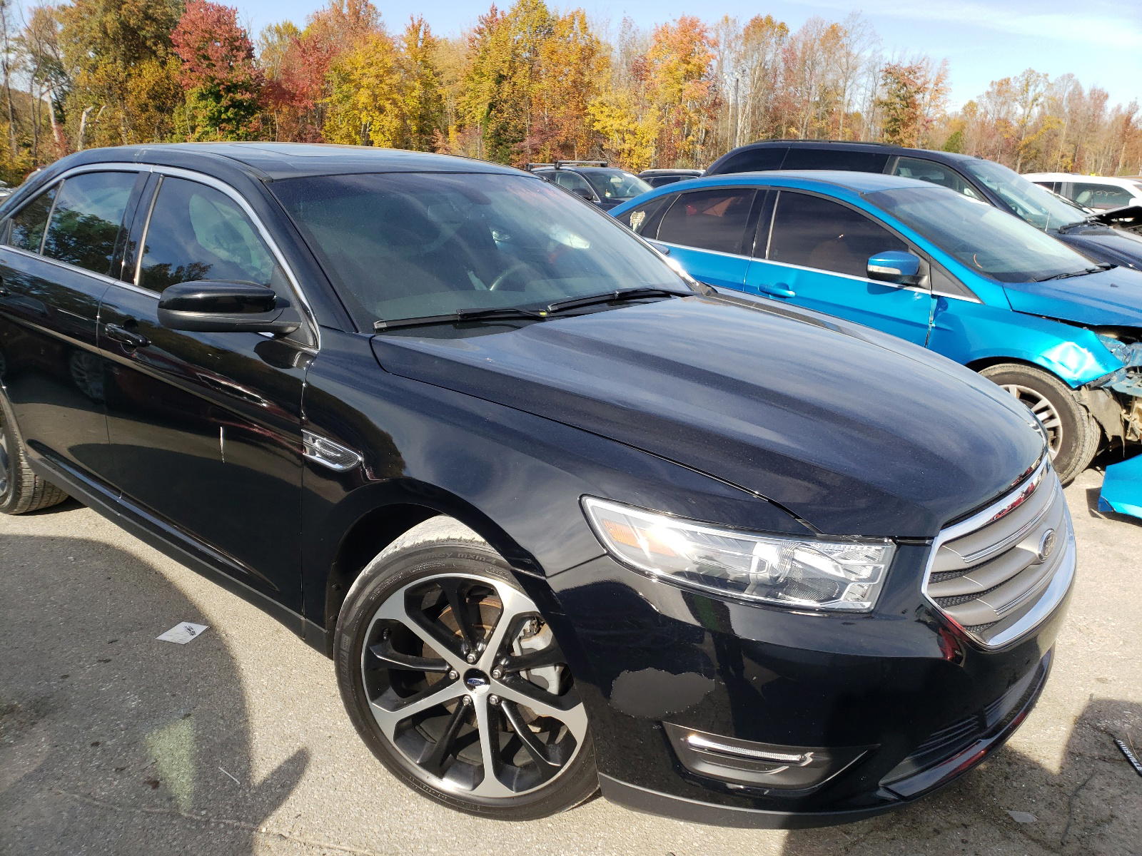FORD TAURUS SEL 2016 with VIN 1FAHP2E88GG153581 - Photo from auction