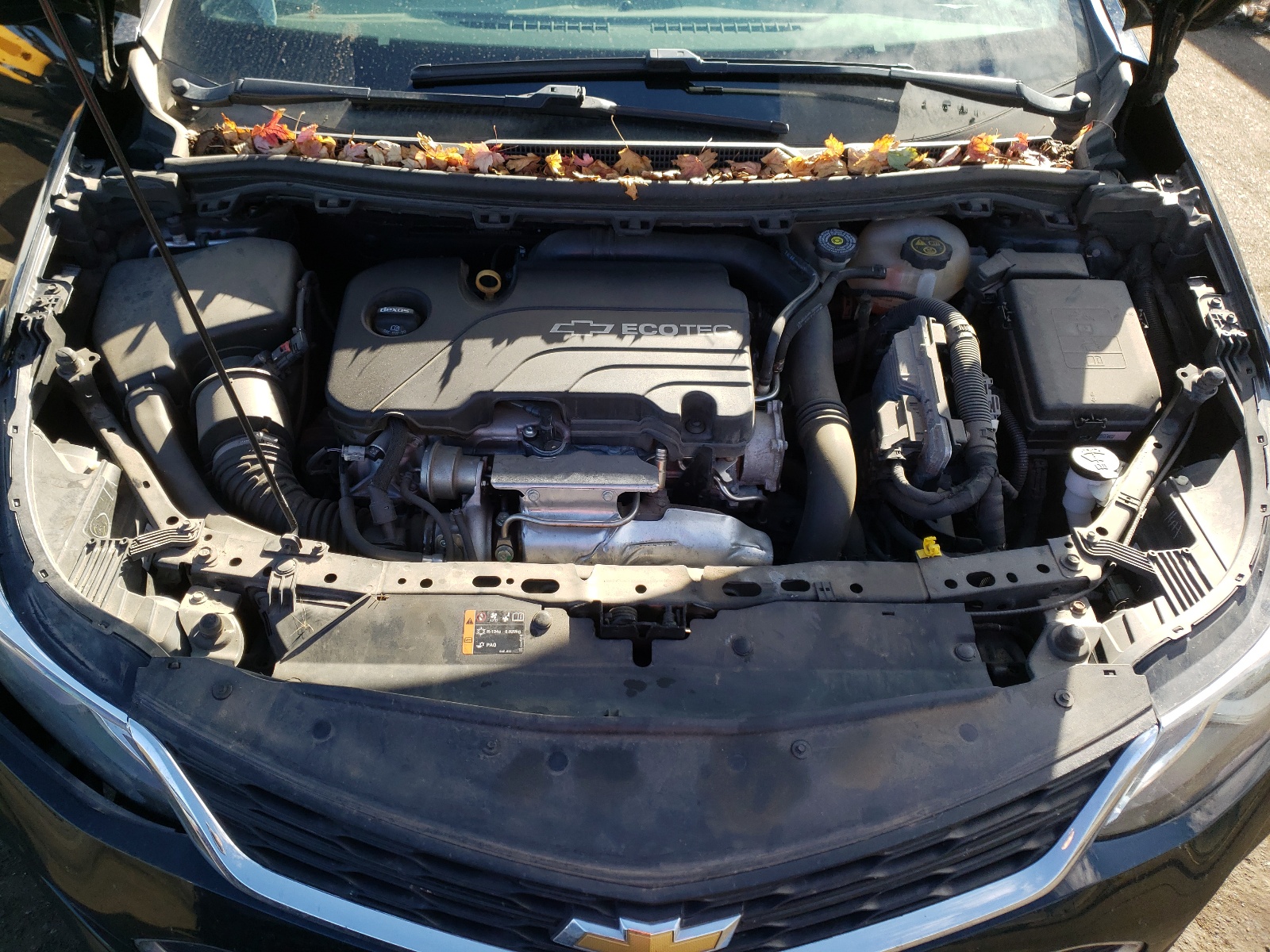 Photo 12 from auction – 2017 CHEVROLET CRUZE LT with VIN 3G1BE6SM0HS541737