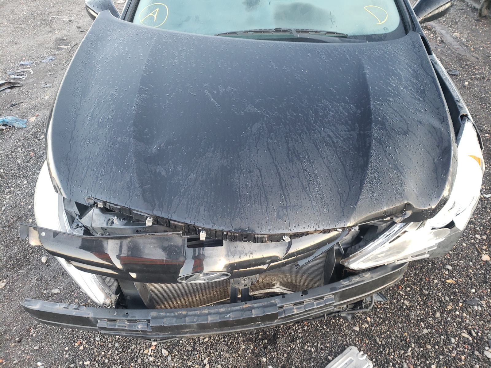 Photo 7 from auction – 2011 HYUNDAI SONATA GLS with VIN 5NPEB4AC4BH022640