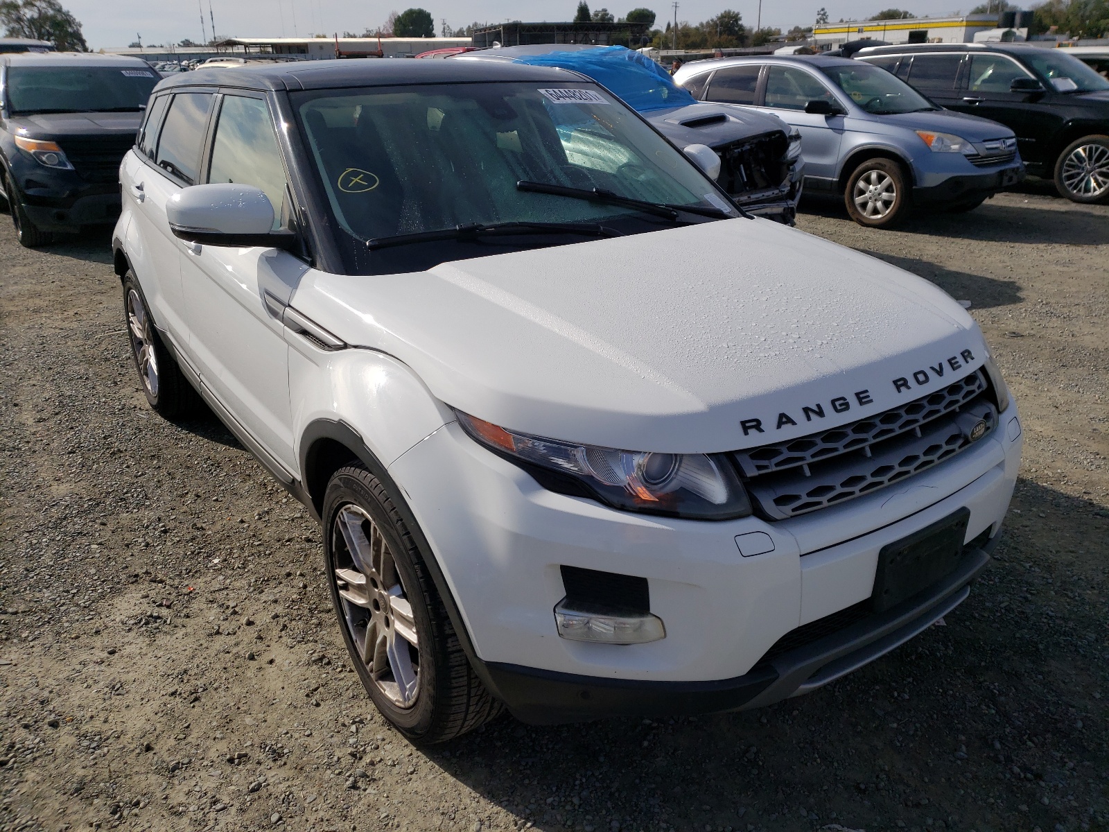 LAND ROVER RANGE ROVE 2013 with VIN SALVP2BG0DH804290 - Photo from auction