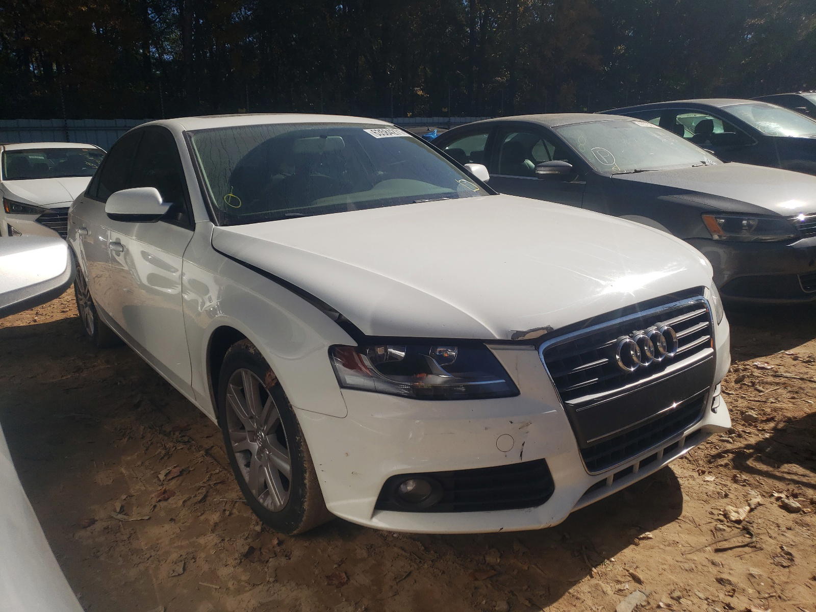 AUDI A4 PREMIUM 2010 with VIN WAUAFAFL9AN064808 - Photo from auction