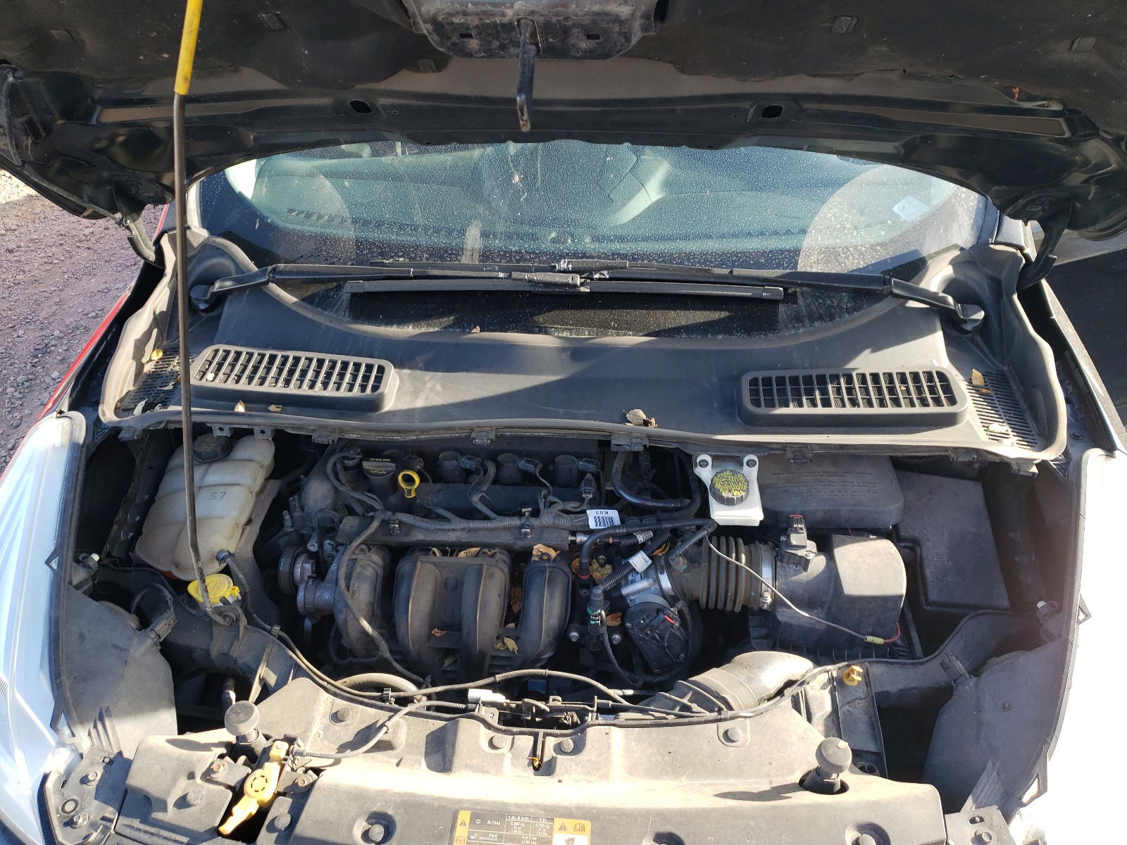 Photo 7 from auction – 2014 FORD ESCAPE S with VIN 1FMCU0F71EUE55750