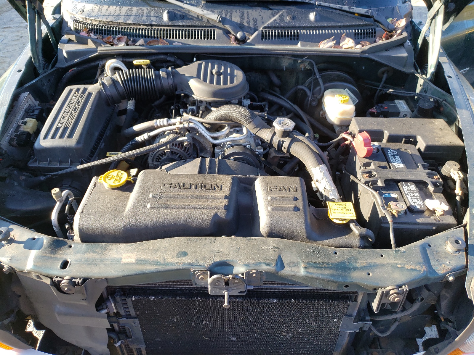 Zdjęcie 7 z aukcji – 2002 DODGE DAKOTA SLT z VIN 1B7GL42X72S537625