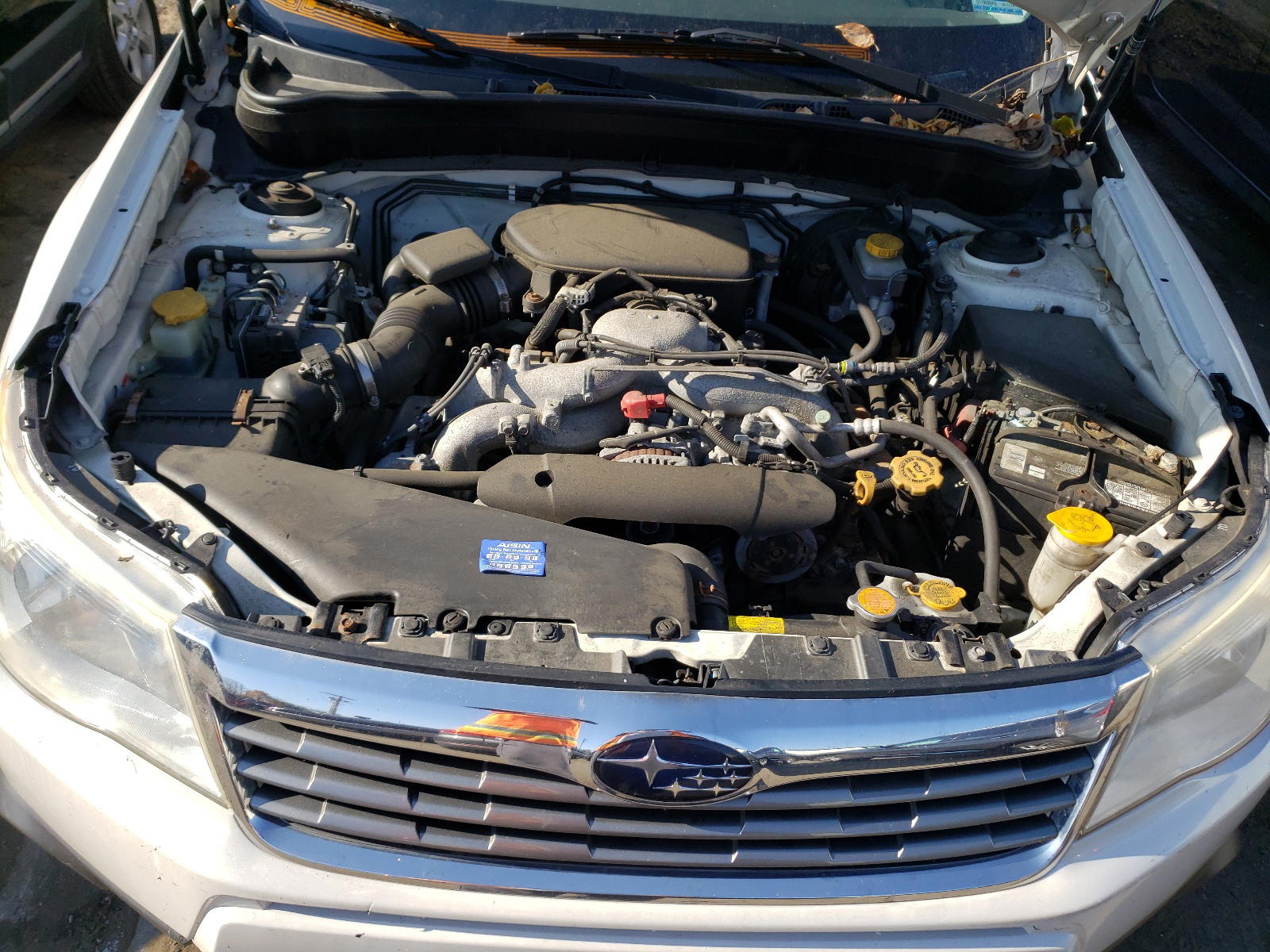 Photo 7 from auction – 2010 SUBARU FORESTER 2 with VIN JF2SH6DCXAH916584