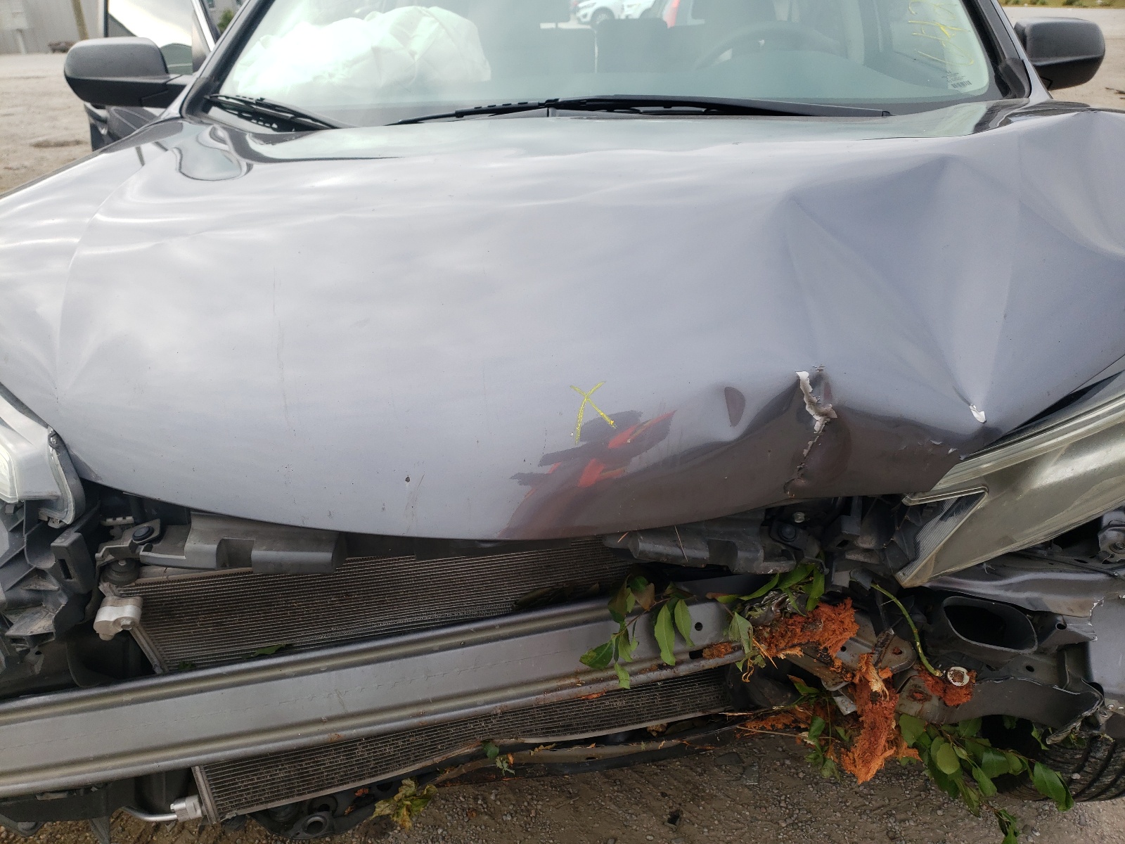 Photo 7 from auction – 2016 HONDA CR-V SE with VIN 2HKRM3H42GH542508