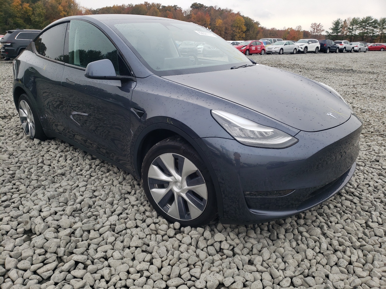 TESLA MODEL Y 2020 с VIN 5YJYGDEE7LF008967 - Фото с аукциона